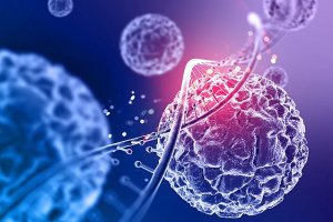 Introdução à Metodologia para o Ensino de Biologia